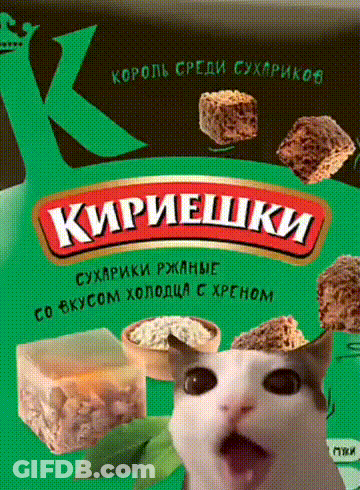 Cat With Open Mouth In Front Of Food Package GIF