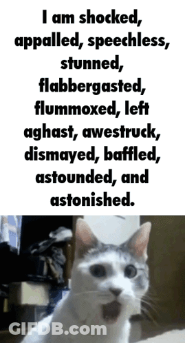 Cat With Open Mouth GIF