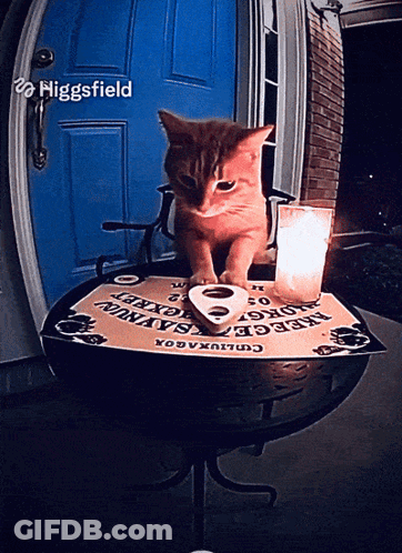 Cat With Ouija Board And Candle GIF