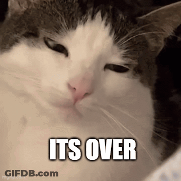 Cat With Overwritten Text GIF