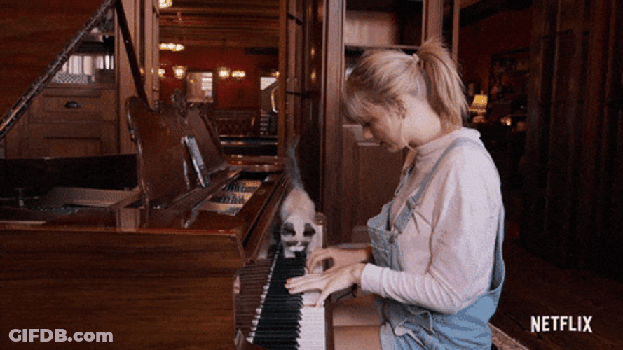 Cat With Owner Woman Plays Piano GIF