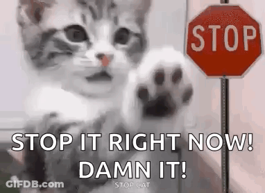 Cat With Paw Up At Stop Sign GIF