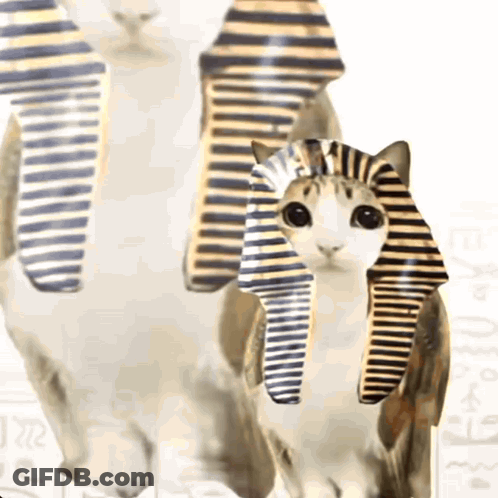 Cat With Pharaoh Hat Next To Two Cats GIF