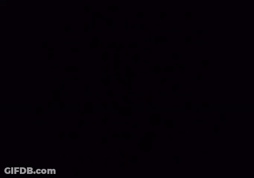 Cat With Phone Saying Kill Your Self GIF