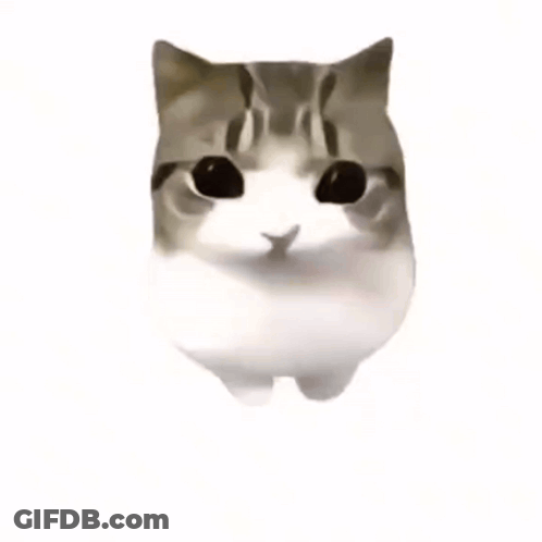 Cat With Pink Blush Cheeks GIF