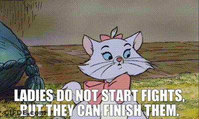 Cat With Pink Bow Saying Ladies Finish Fights GIF