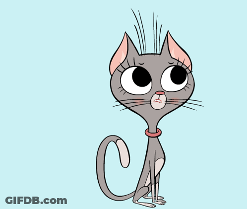 Cat With Pink Collar GIF