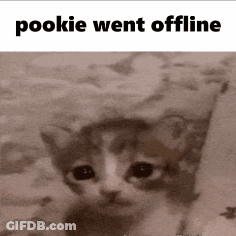 Cat With Pookie Went Offline GIF