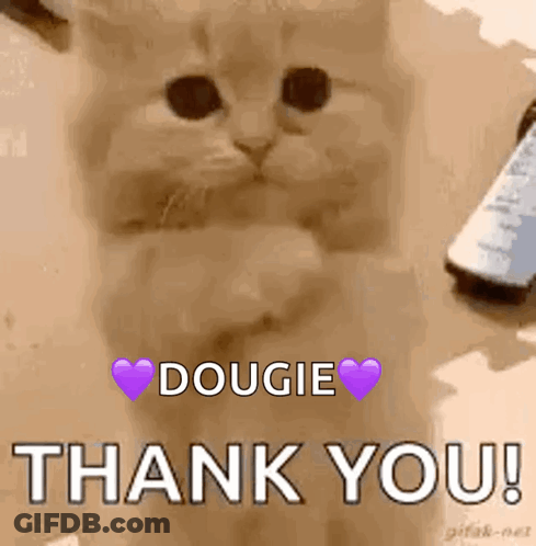 Cat With Purple Heart Dougie Thank You GIF
