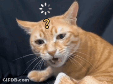Cat With Question Mark GIF