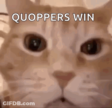 Cat With Quoppers Win Text GIF