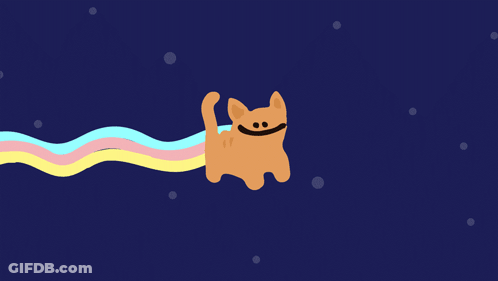 Cat With Rainbow Tail Flying Through Space Saying Trillion GIF