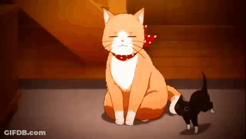 Cat With Red Bow Sitting Next To Smaller Cat GIF