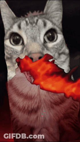 Cat With Red Flame In Mouth GIF