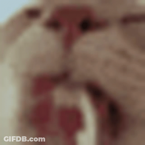 Cat With Red Tongue Sticking Out GIF