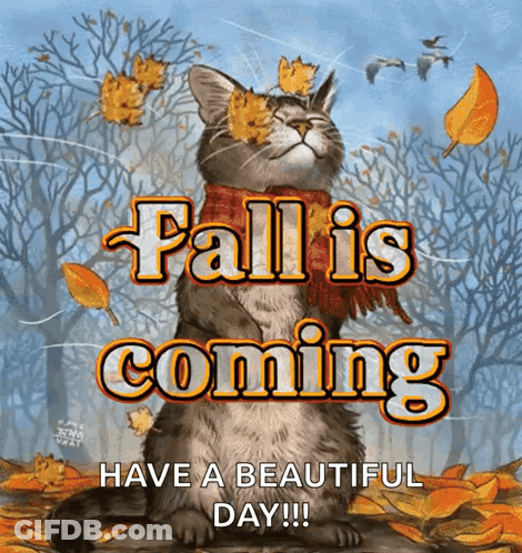 Cat With Scarf Saying Fall Is Coming Surrounded By Leaves GIF