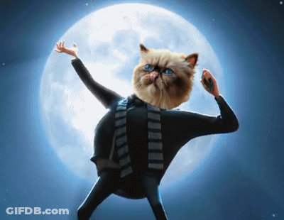 Cat With Scarf Standing Before Moon GIF