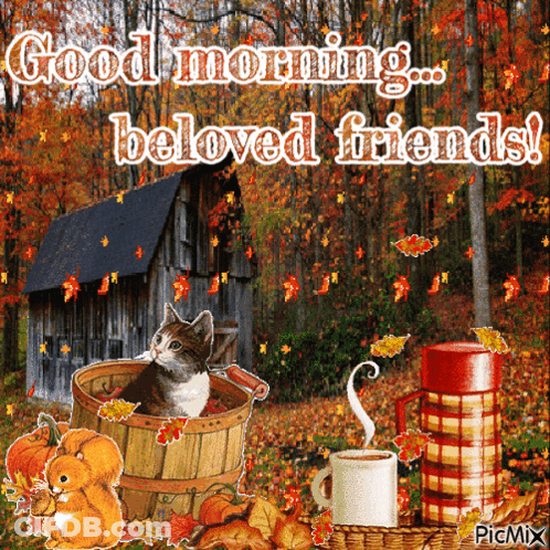 Cat With Scarf Surrounded By Leaves Saying Fall Is Coming GIF
