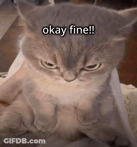 Cat With Serious Look Saying Okay Fine GIF