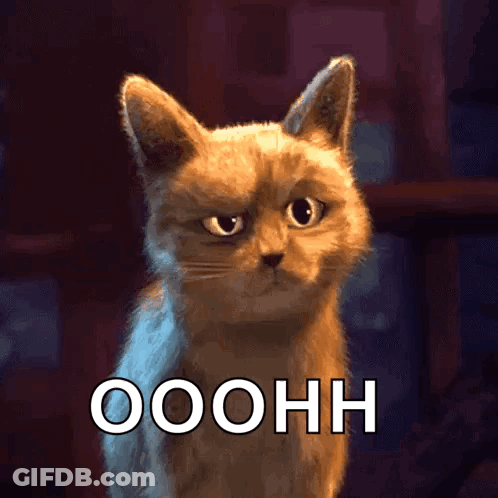 Cat With Serious Look Saying Ooohh GIF
