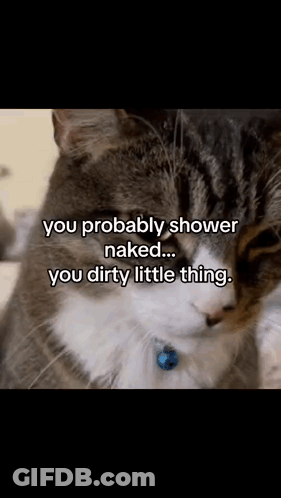 Cat With Shower Naked Caption GIF