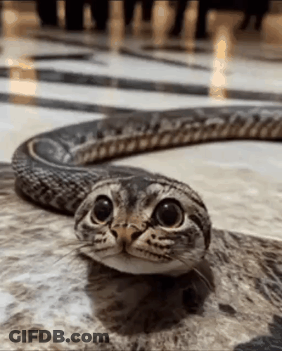 Cat With Snake Head GIF