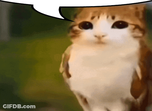 Cat With Speech Bubble GIF