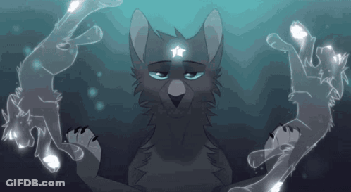 Cat With Star On Head GIF