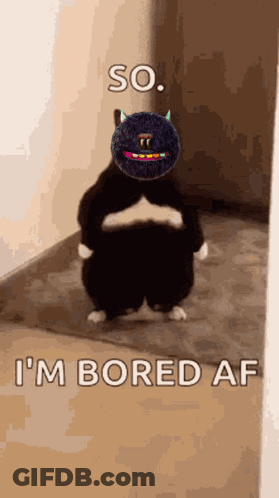 Cat With Stuffed Animal On Head Saying So I'm Bored Af GIF
