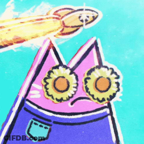 Cat With Sunflowers On Eyes GIF