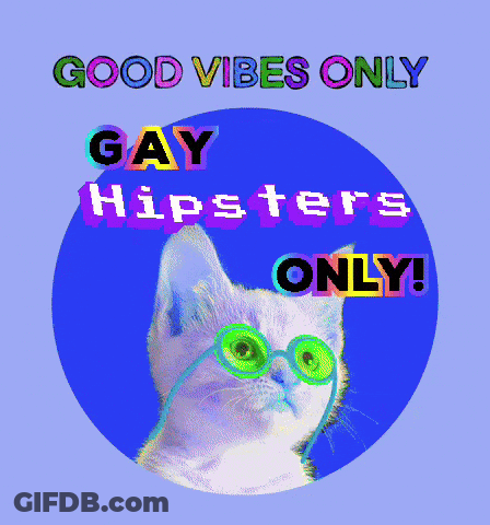 Cat With Sunglasses Good Vibes Only Gay Hipsters Only GIF