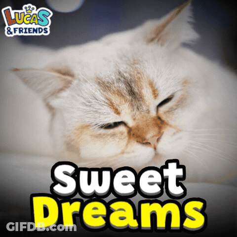 Cat With Sweet Dreams GIF