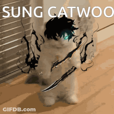 Cat With Sword Singing Catwoo GIF