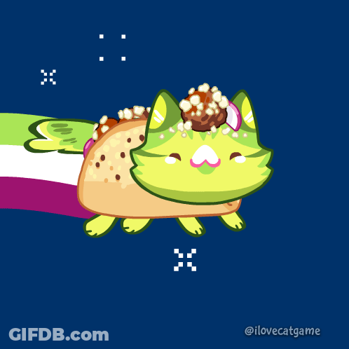 Cat With Taco On Top GIF