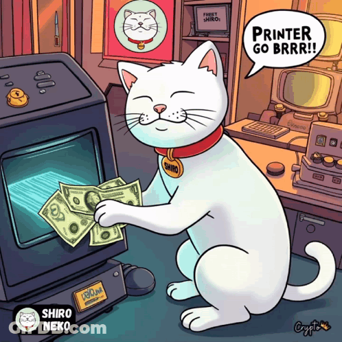 Cat With Tag Saying Shiro GIF