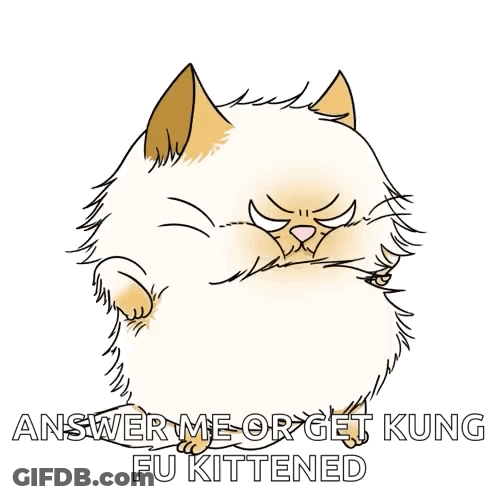 Cat With Text Answer Me Or Get Kung Fu Kittened GIF