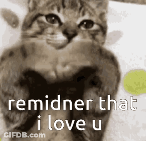 Cat With Text Reminer That I Love U GIF