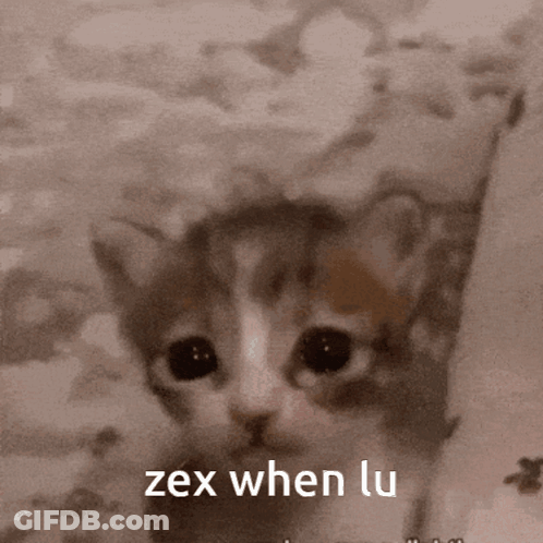 Cat With Text Zex When Lu GIF