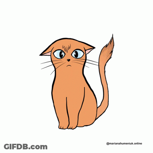 Cat With Three Red Question Marks GIF