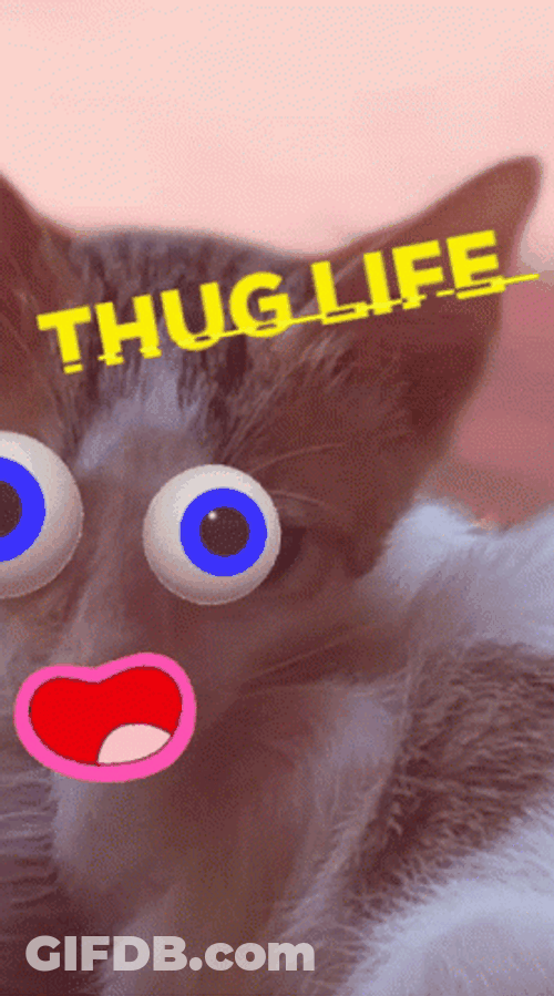 Cat With Thug Life Emojis GIF