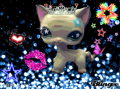 Cat With Tiara Surrounded By Glitter And Stars GIF