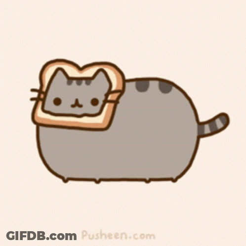 Cat With Toast On Head GIF