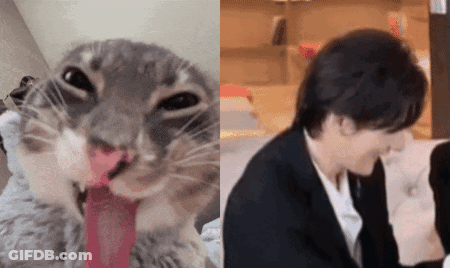 Cat With Tongue Hanging Out Next To Man GIF