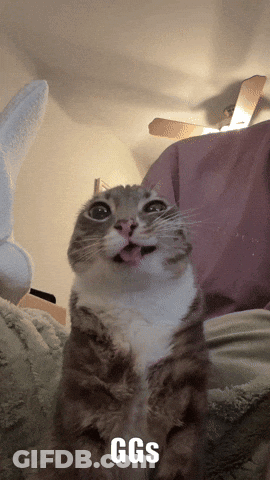 Cat With Tongue Hanging Out Saying Ggs GIF