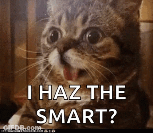 Cat With Tongue Hanging Out Says I Haz The Smart GIF
