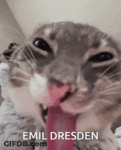 Cat With Tongue Out Emil Dresden GIF