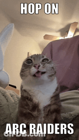 Cat With Tongue Out Hop On Arc Raiders GIF