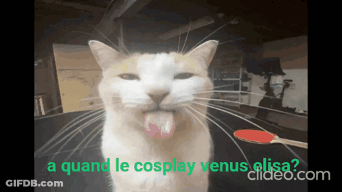 Cat With Tongue Out Quand Le Cosplay Venus Elisa GIF