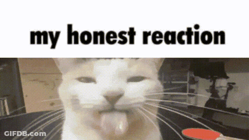 Cat With Tongue Out Saying My Honest Reaction GIF