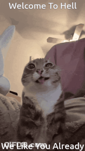 Cat With Tongue Out Welcome To Hell We Like You Already GIF